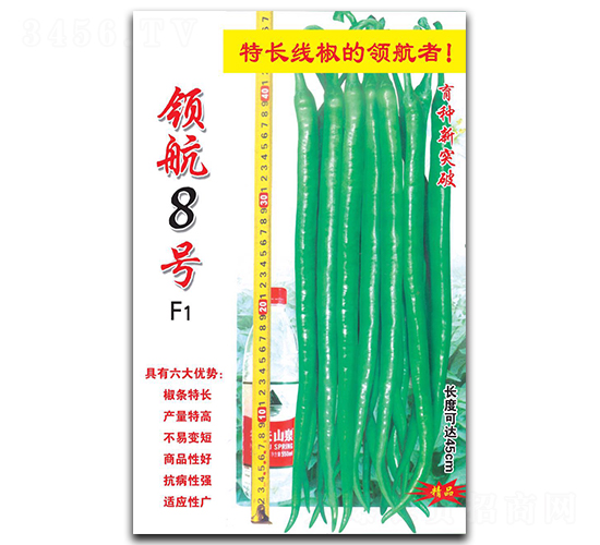 I(lng)8̖(ho)-N-A߷NI(y)