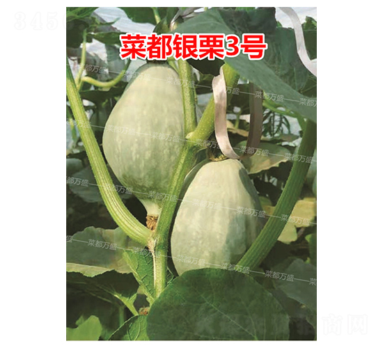 ˶y3̖(ho)-ϹϷN-˶f(wn)ʢ