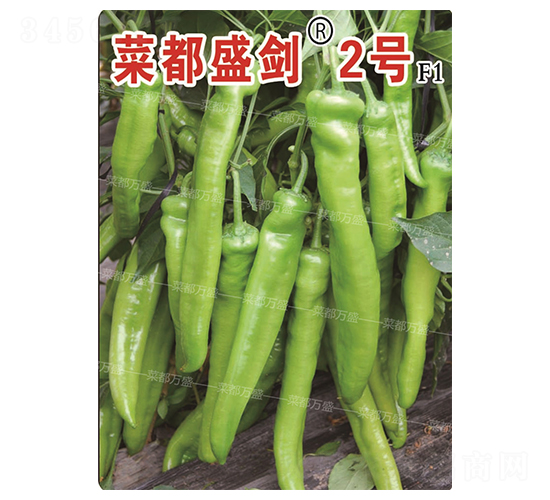 ˶ʢ2̖(ho)-N-˶f(wn)ʢ