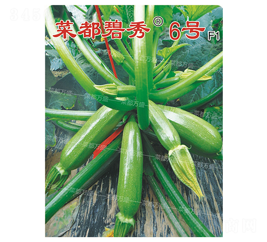 ˶6̖(ho)-JN-˶f(wn)ʢ