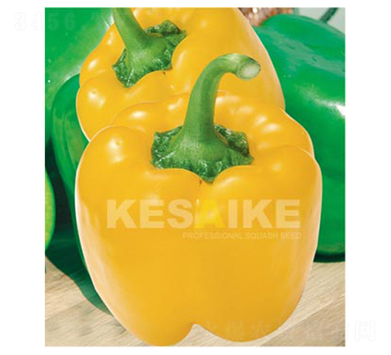 ʹһ̖(ho)-𽷷N-wِw