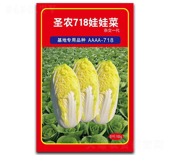 圣農(nóng)718娃娃菜-娃娃菜種子-圣農(nóng)高科