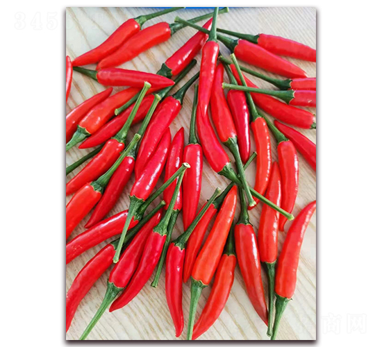 ʥr(nng)tʯ04콷-콷N-ʥr(nng)߿