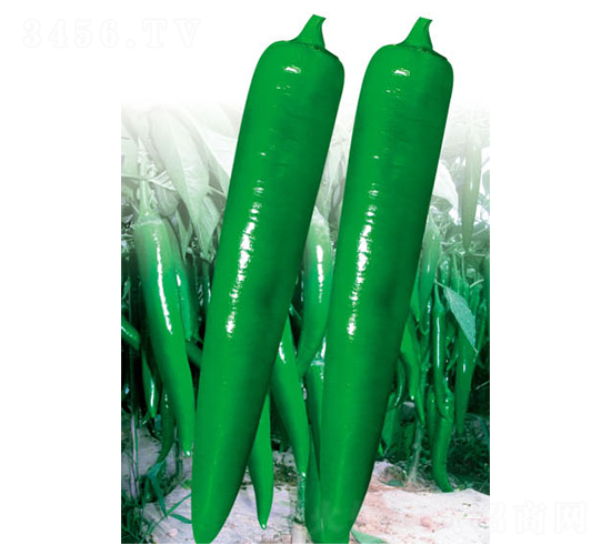 ʮ̖(ho)-N-ʒ·NI(y)