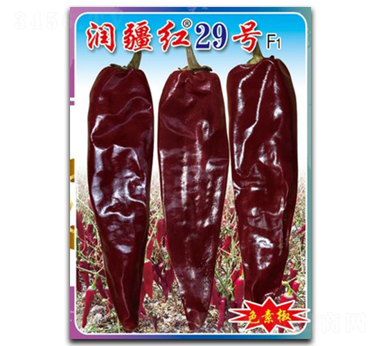 t29̖-N-(zhn)зNI(y)