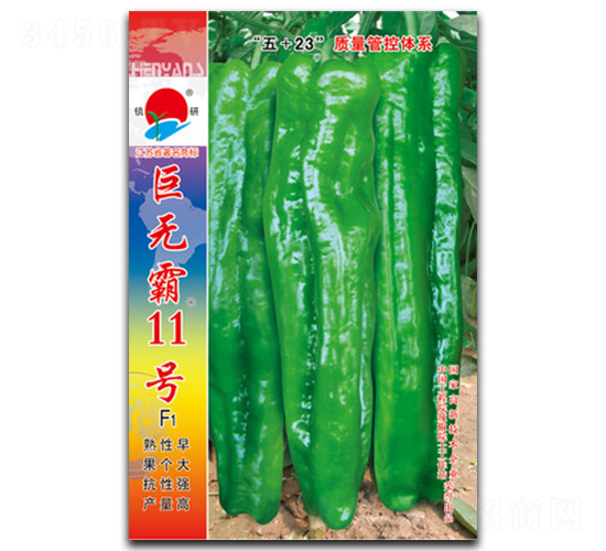 ޟo11̖-ݽN-(zhn)зNI(y)