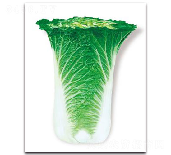 ȃ(yu)76-ײ˷N-ȃ(yu)_