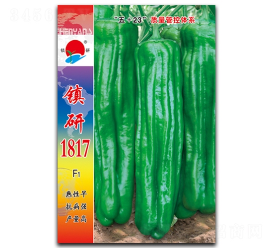 (zhn)1817-ݽN-(zhn)зNI(y)