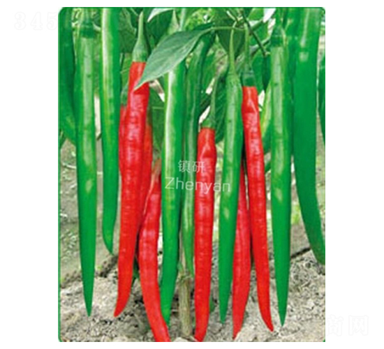 (zhn)һ̖-N-(zhn)зNI(y)