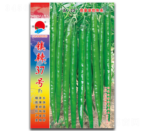 (zhn)37̖(ho)-N-(zhn)зNI(y)