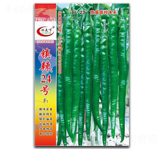 (zhn)24̖(ho)-(xin)N-(zhn)зNI(y)