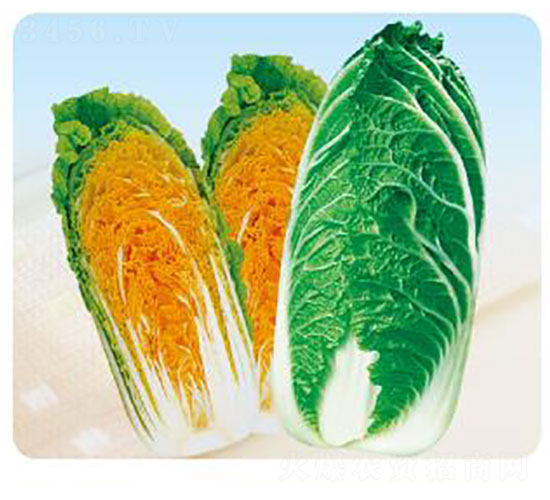 ٶ̖-ײ˷N-ȃ(yu)_(d)