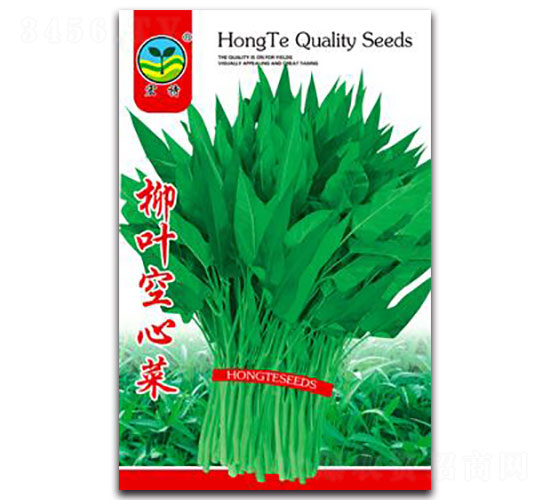 柳葉空心菜-空心菜種子-宏特