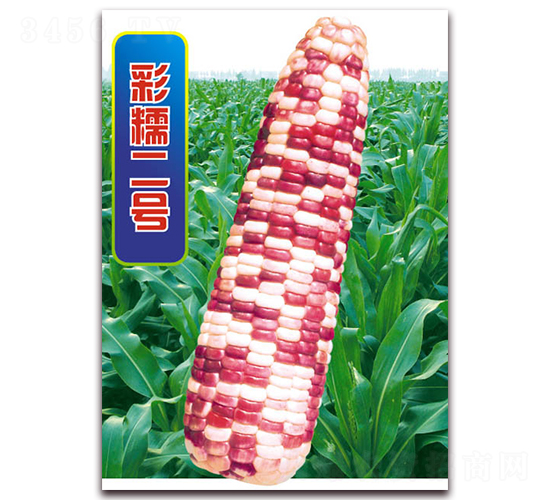 Ŵ̖(ho)-Ŵ׷N-ANI(y)