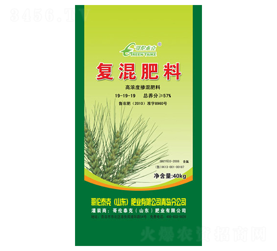 ߝȏͻ19-19-19-炐̩