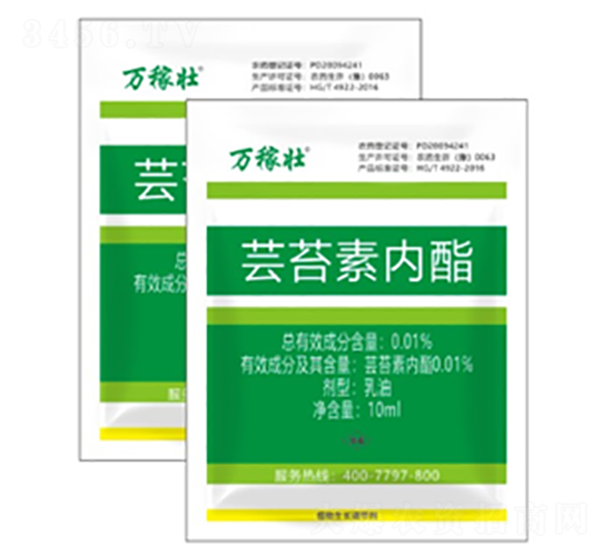 �|̦�؃�(n��i)��-�f�ډ�-�r(n��ng)�_(d��)����