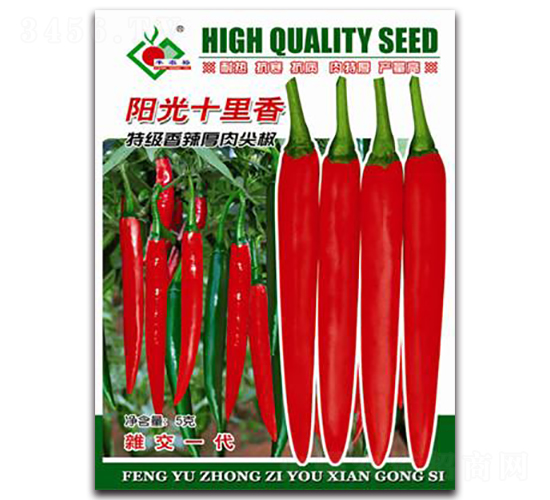 (yng)ʮؼ(j)⽷-t⽷N-Sԣr(nng)I(y)