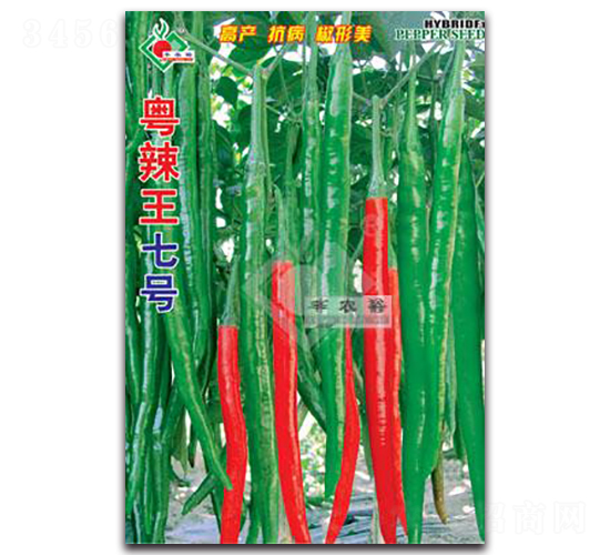 ̖(ho)-N-Sԣr(nng)I(y)