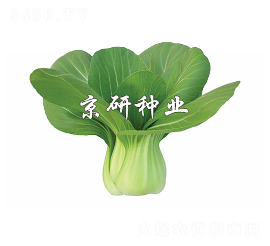 (gu)2̖(ho)-Сײ˷N-