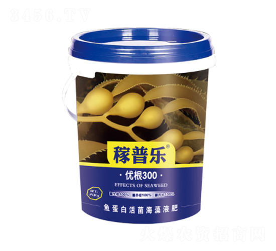 (yu)300-՘-(rn)ɷʘI(y)