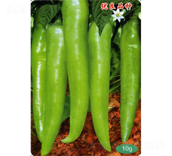 前程長椒-辣椒種子-官明天成