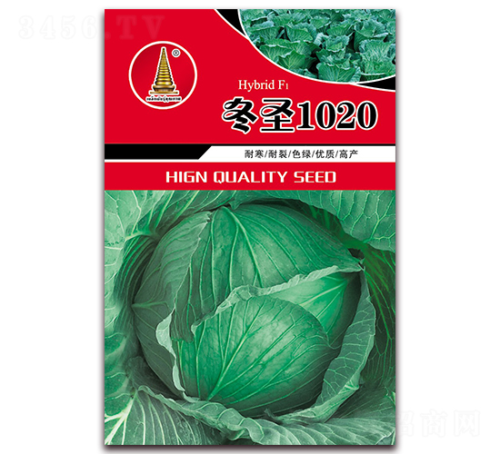 ʥ1020-{N-нr(nng)I(y)