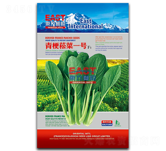 ๣ݿһ̖-๣ݿ˷N-_