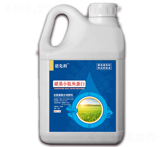 ̼С~(y)-Zȿ-r(nng)Z