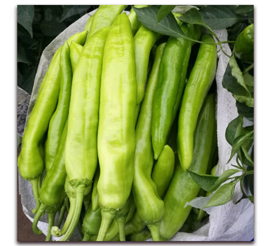 㑄11-N-?tng)r(nng)I(y)