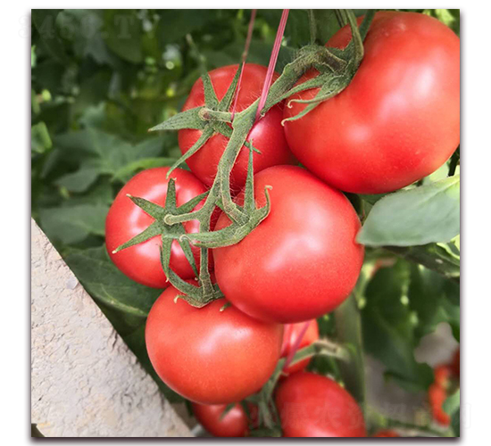 ?tng)?072-ѷN-?tng)r(nng)I(y)