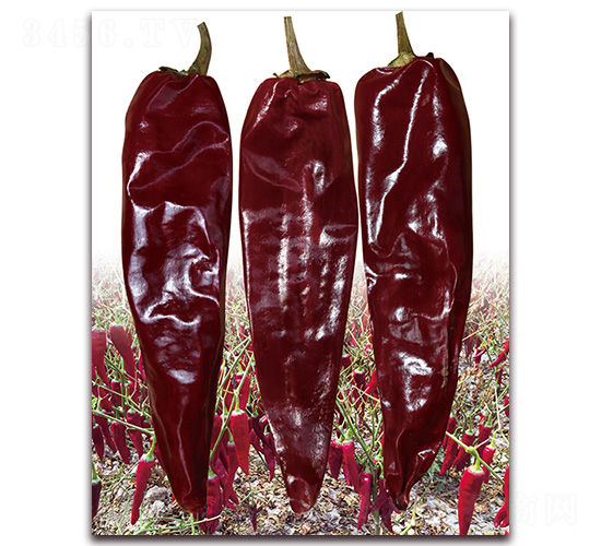 At3̖(ho)-N-tl(f)NI(y)