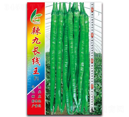 L(zhng)-N-tl(f)NI(y)