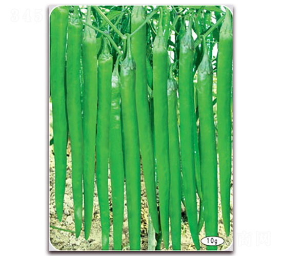 S̖(ho)-(xin)N-(lin)SNI(y)