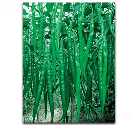 (yu)̖-N-(lin)SNI(y)