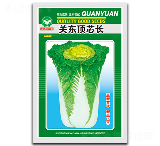 關(guān)東頂心長-白菜種子-泉源