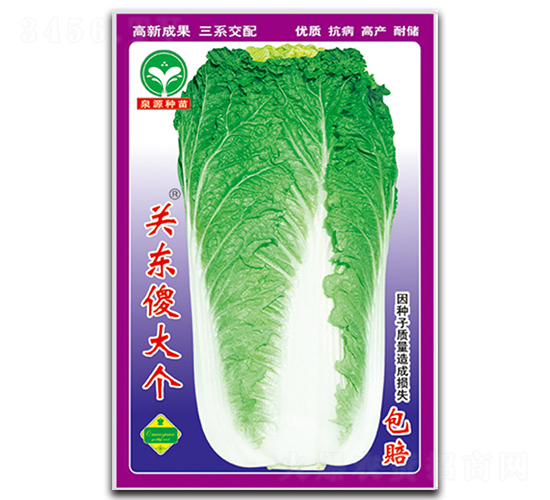 P(gun)|ɵ(g)-ײ˷N-ȪԴ