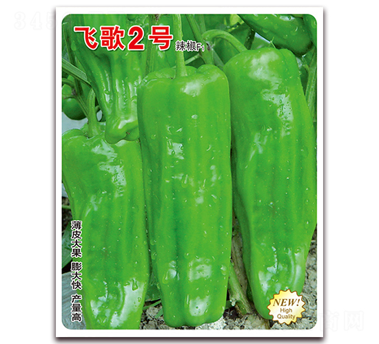 w2̖(ho)-N-wr(nng)I(y)