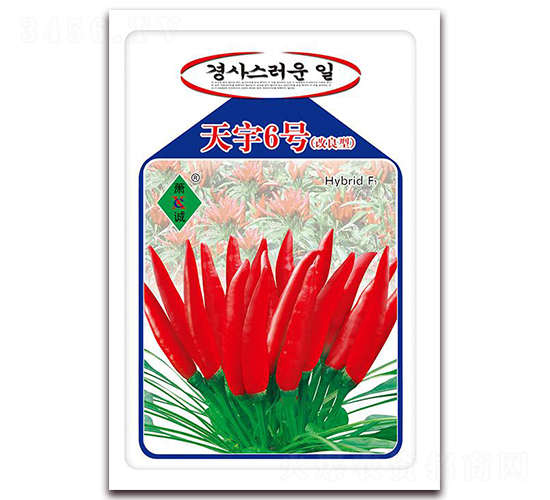 6̖(ho)-콷N-ʒ\(chng)