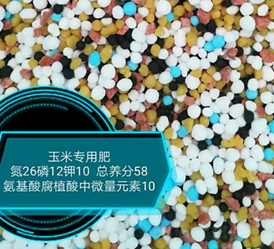 ׌ðḯֲ΢Ԫ26-12-10-rrI(y)