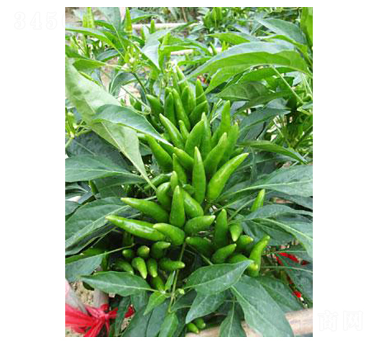 һ֦(d)-콷N-r(nng)f(wn)