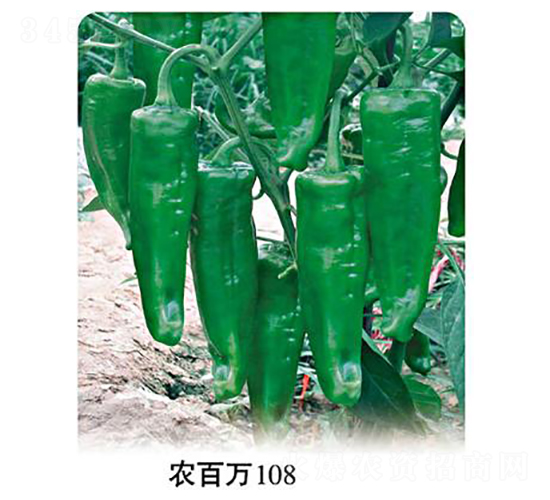 r(nng)f(wn)108-ݽN-r(nng)f(wn)