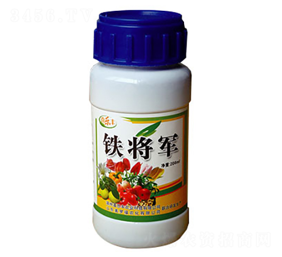 F܊-ϲ(l)Sr(nng)I(y)