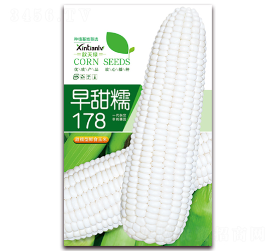 早甜糯178-甜糯玉米種子-歆天綠