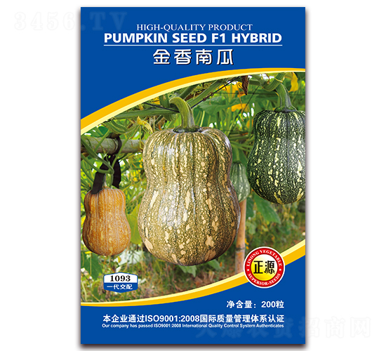 金香南瓜F1（1093）-南瓜種子-和利農(nóng)