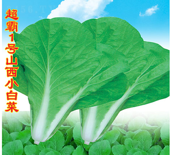 1̖(ho)ɽСײ-Сײ˷N-f(wn)r(nng)߿