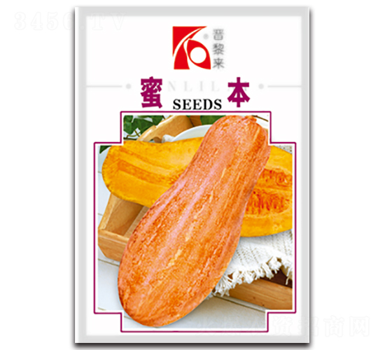 蜜本-南瓜種子-晉黎來(lái)