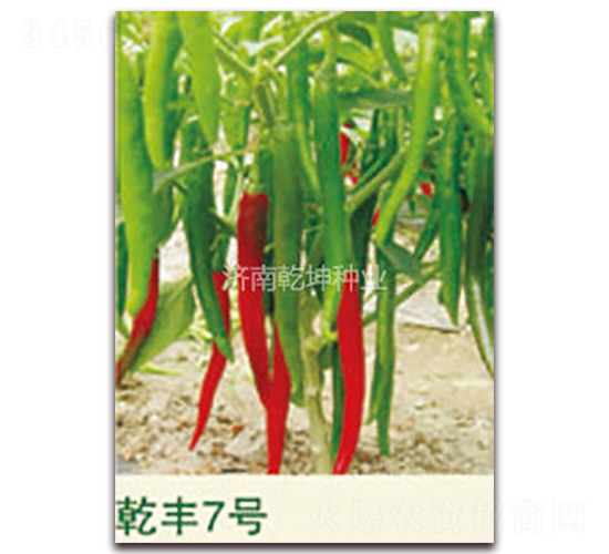 ǬS7̖(ho)-N-ǬNI(y)