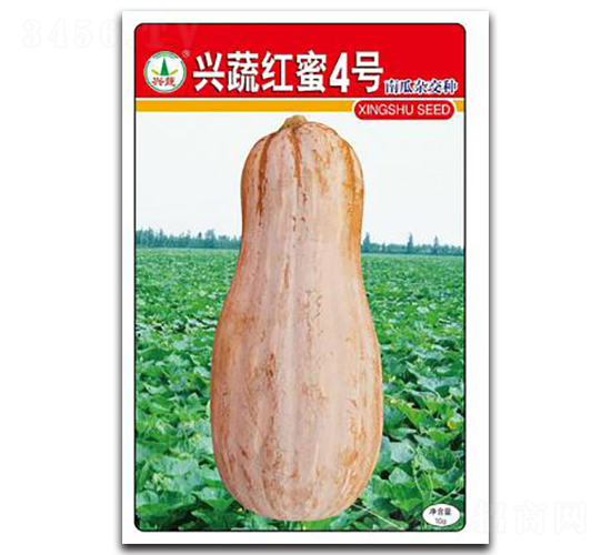 d߼t4̖-ϹϷN-d߷NI(y)