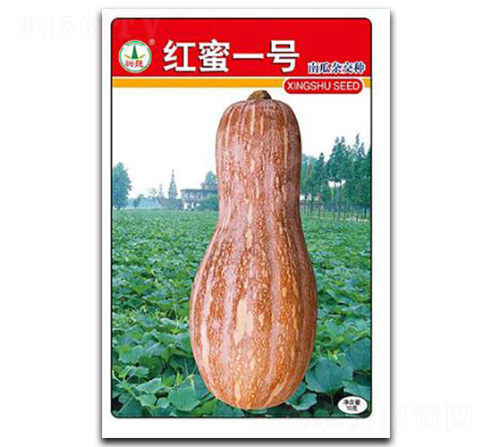 d߼t1̖-ϹϷN-d߷NI(y)