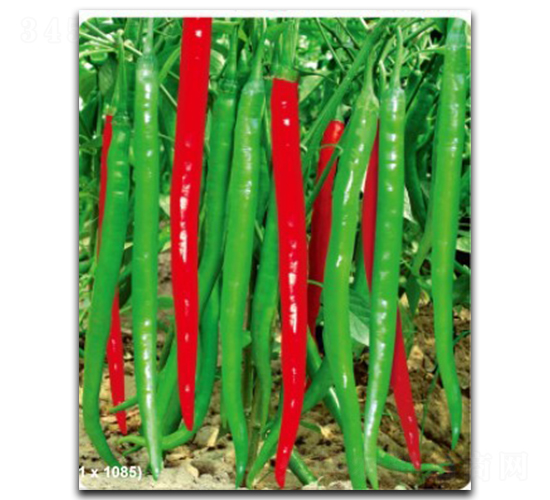 (yu)̖-N-մr(nng)I(y)